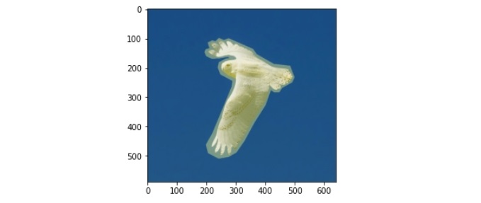 RLE masque binaire mask binary python 